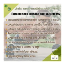 Vitamina C 1000 Mg Efne | 60 Cápsulas | Vegano