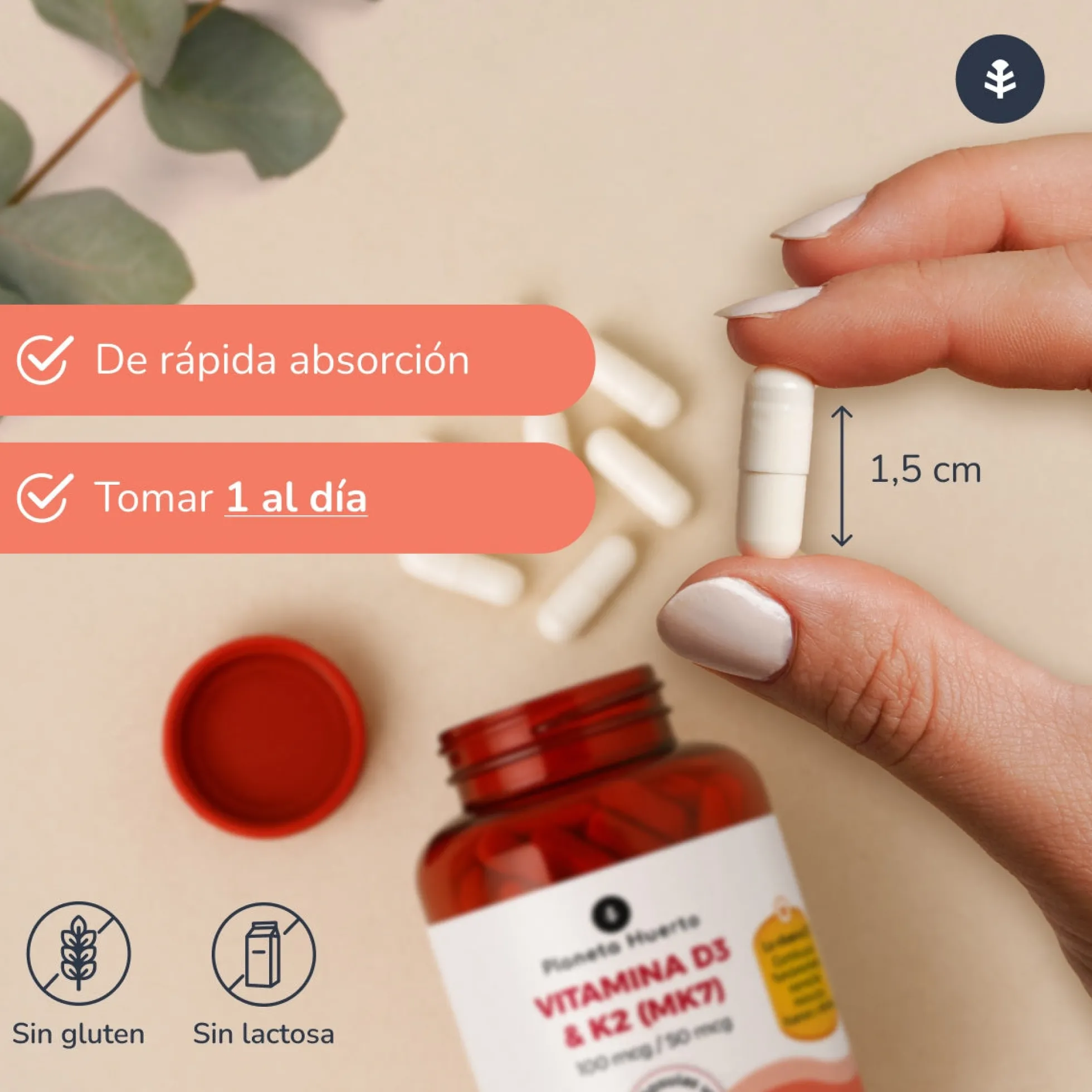 Vitamina D3 & K2 Mk7 Planeta Huerto 180 Capsulas