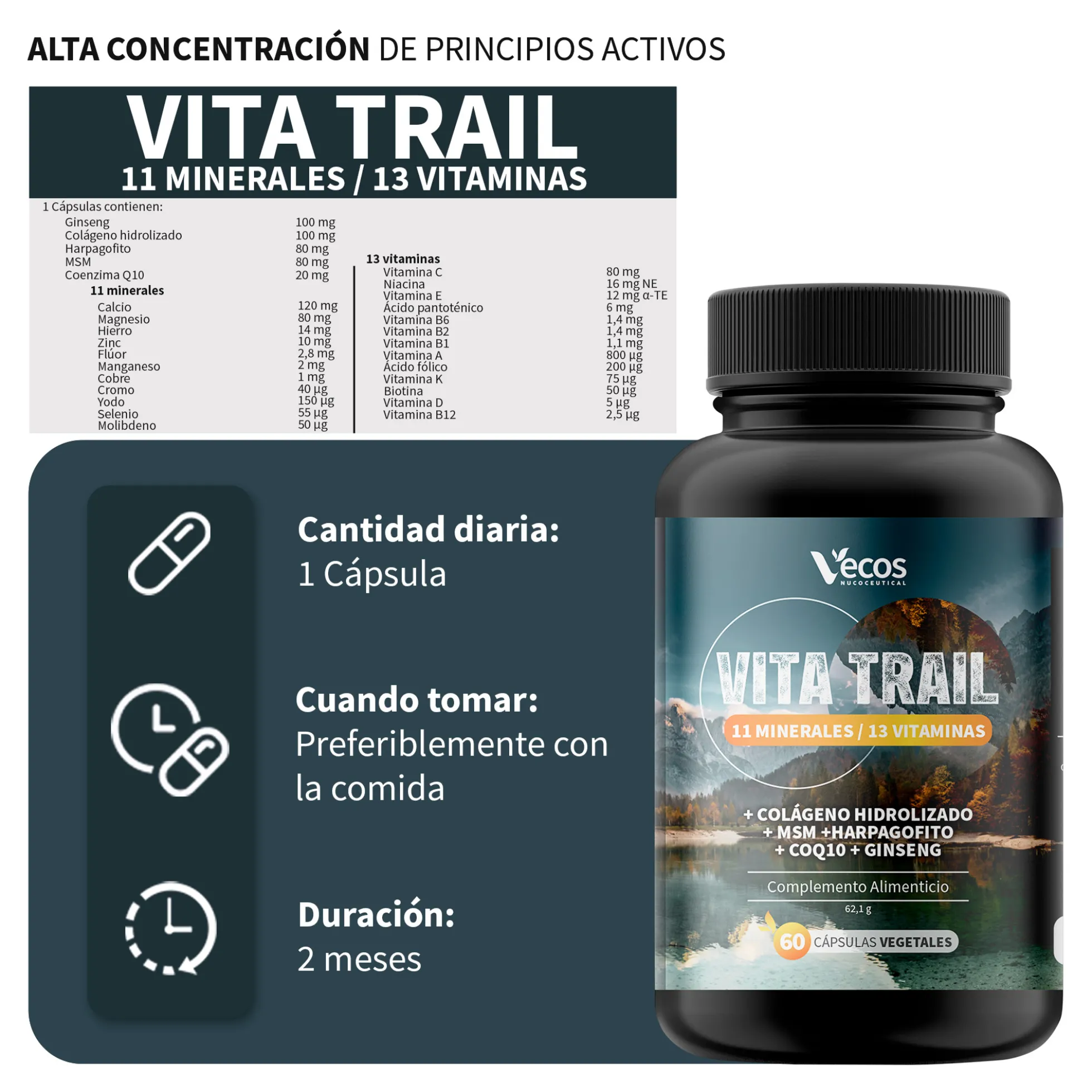Vita Trail Vecos 60 Cápsulas | Rendimiento Físico Y Recuperación | Colágeno, Msm Y Harpagofito