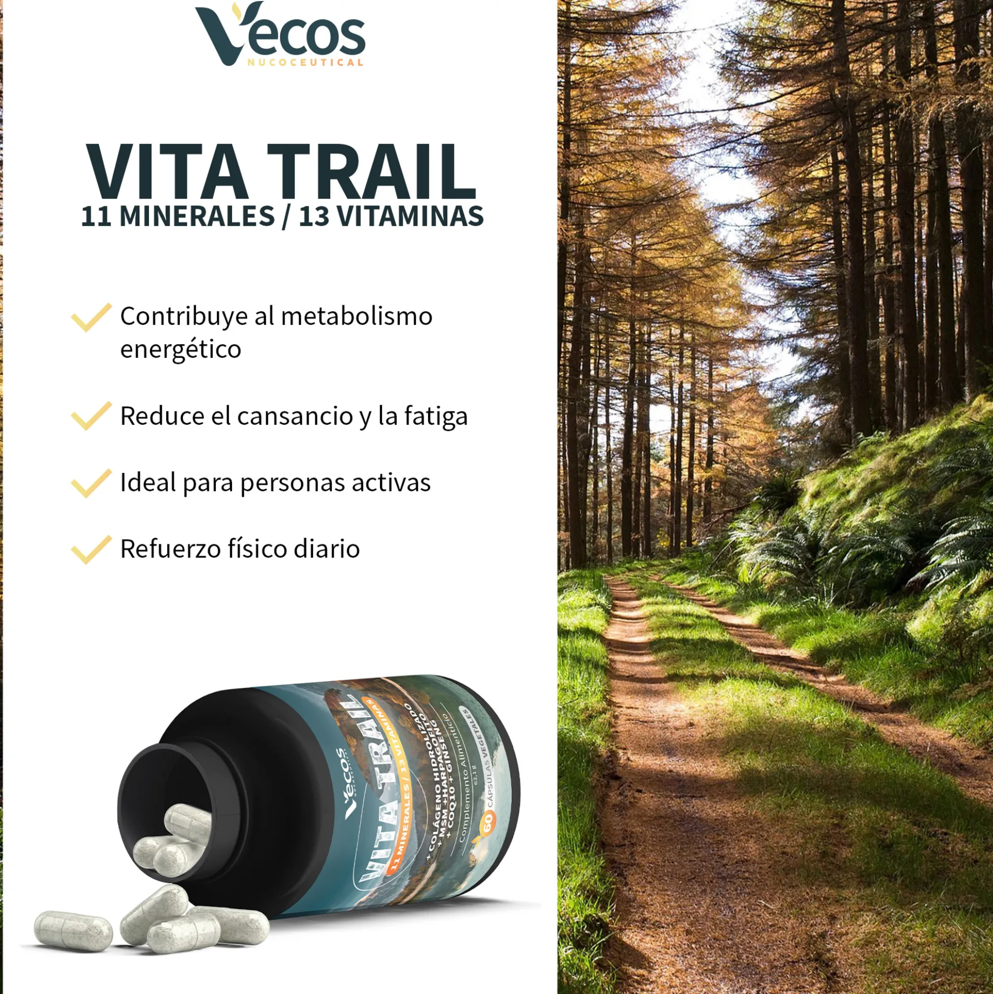Vita Trail Vecos 60 Cápsulas | Rendimiento Físico Y Recuperación | Colágeno, Msm Y Harpagofito