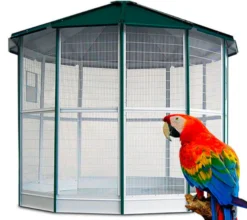 Voladera Grande Para Pájaros - Voladera Manila De 12 Lados Para Aves Exóticas - Pajarera Exterior - Voladera De Jardín