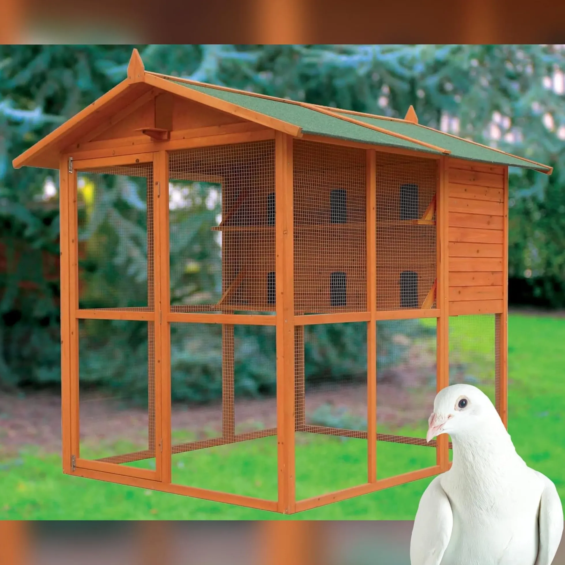 Voladero Para Palomas Bizet