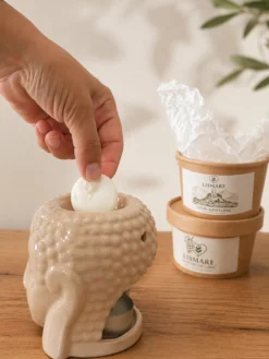Wax Melts de soja para quemador – Bombones aromáticos, sinergia de romero, tomillo y pino – Entre Montañas – Lismare