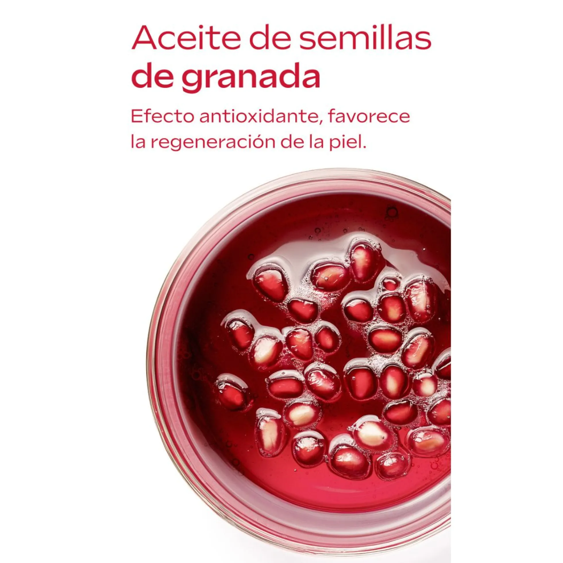WELEDA Contorno de Ojos + Crema de Día (40% Dto) 12ml + 40ml