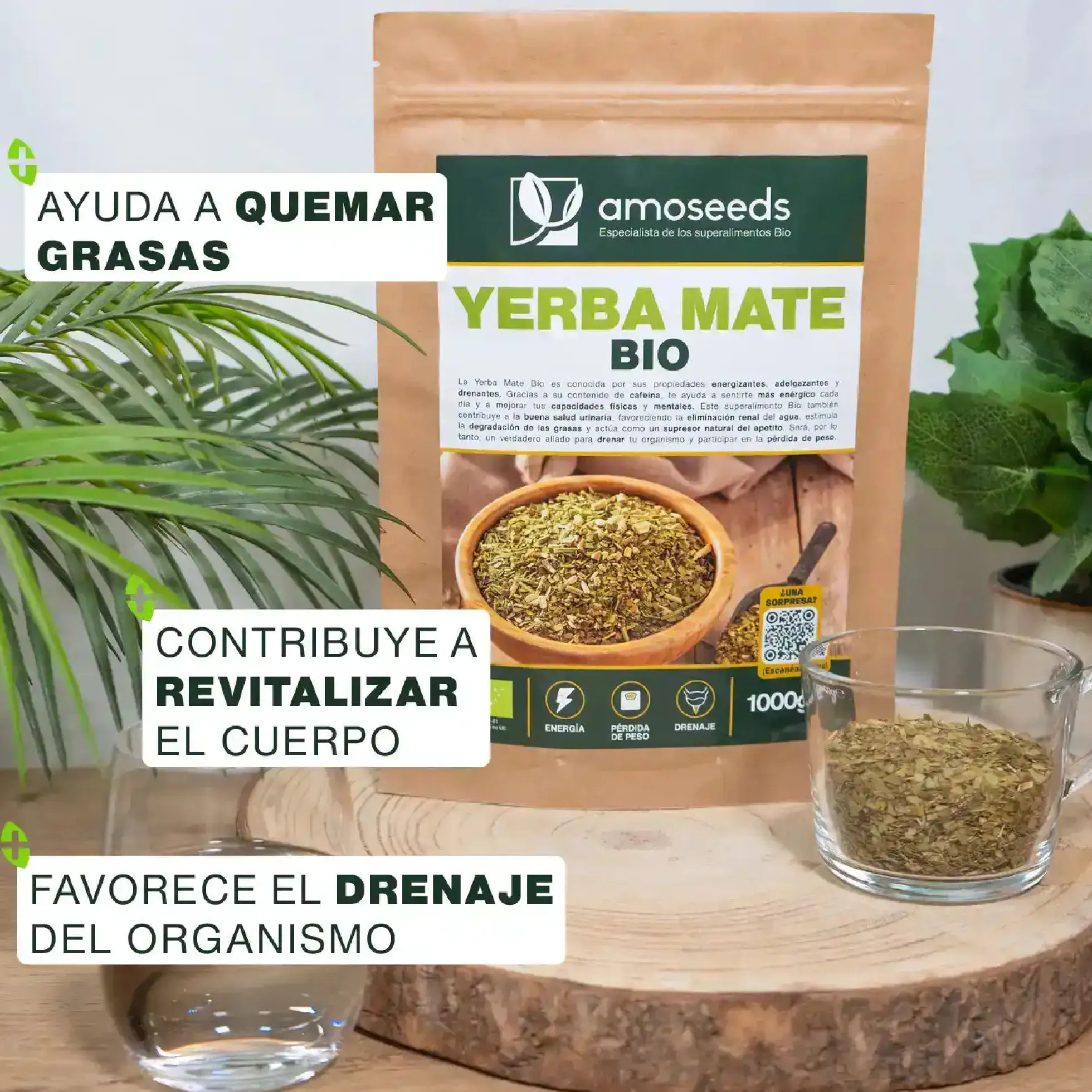 Yerba Mate Bio 1kg