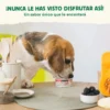 Yogur Helado de Mora con Prebióticos Naturales Wild Balance 110 g