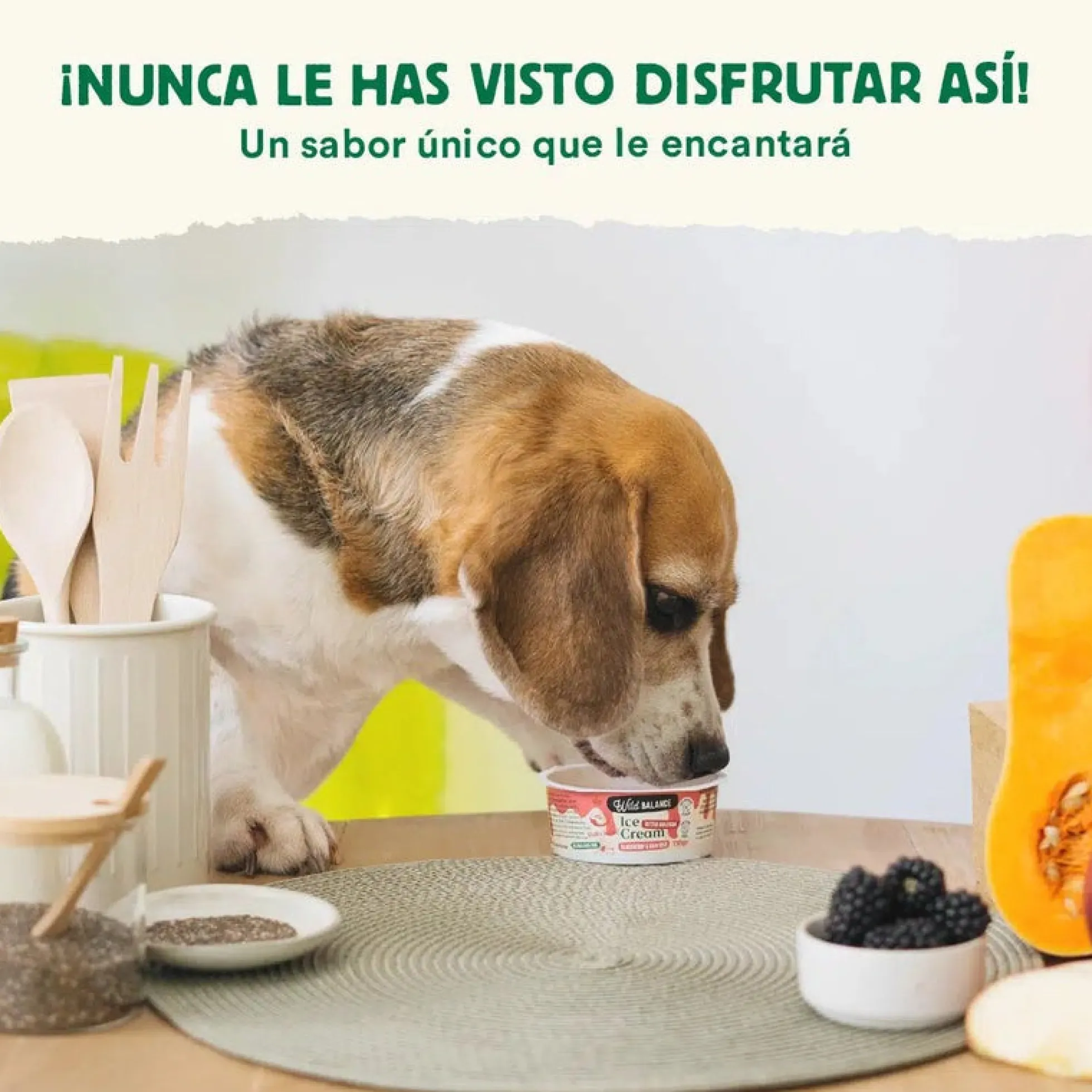 Yogur Helado de Mora con Prebióticos Naturales Wild Balance 110 g