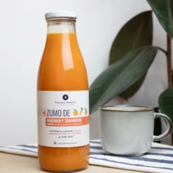 Zumo de Zanahoria y Naranja 100% fruta exprimida Eco Planeta Huerto 750ml